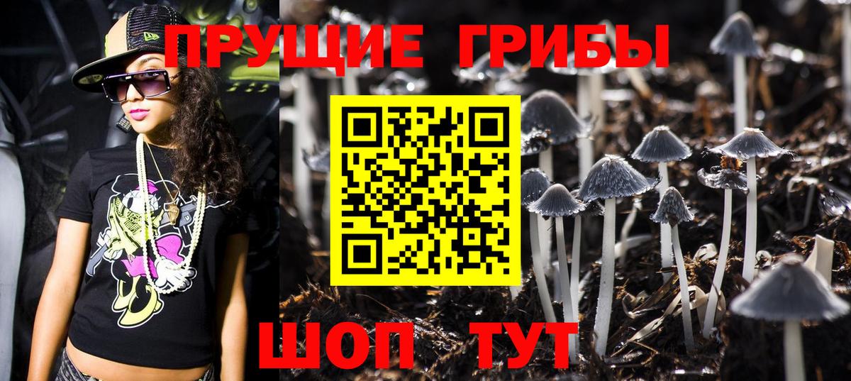 Псилоцибиновые грибы Cubensis Прохладный