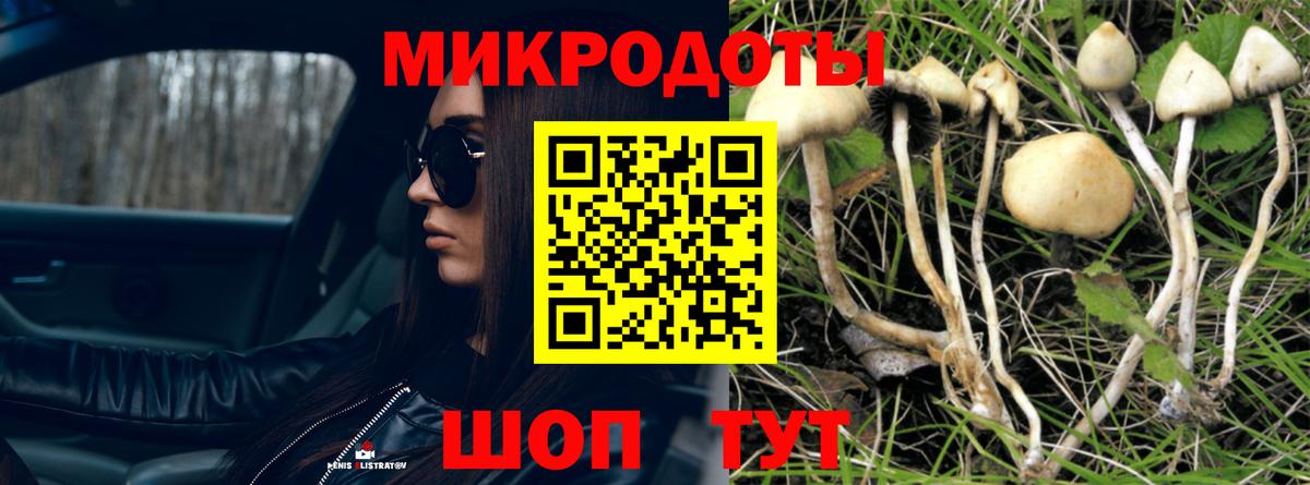 Галлюциногенные грибы Magic Shrooms  Вход с VPN  Псилоцибиновые грибы Psilocybine cubensis  Прохладный 